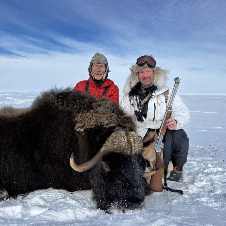 Spring Muskox Hunts with Adventure Northwest