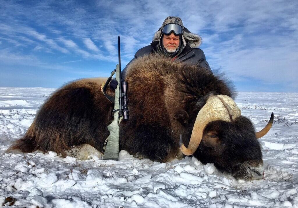 Spring Muskox Hunts with Adventure Northwest