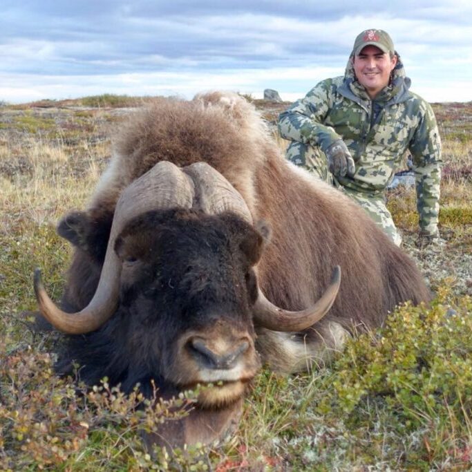 e2a47334-9459-4828-8753-7c201dcfe78f