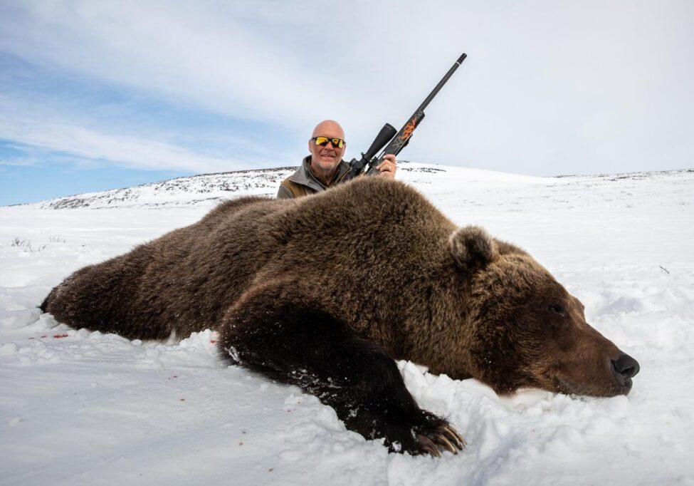 grizzly bear grizzly bear