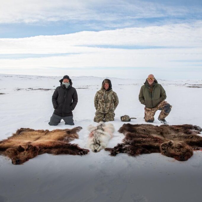 grizzly bear 4 grizzly bear 4