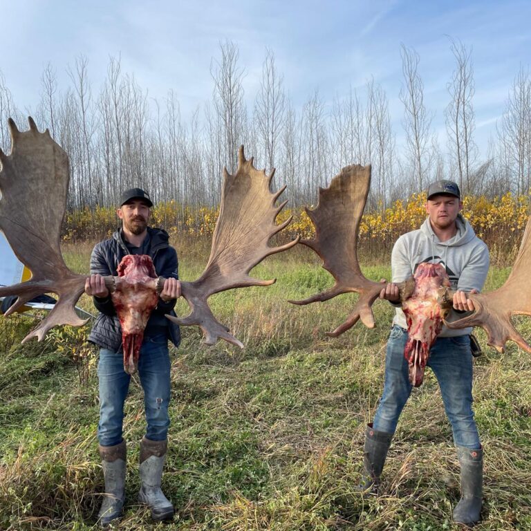 moose pg 3 moose pg 3